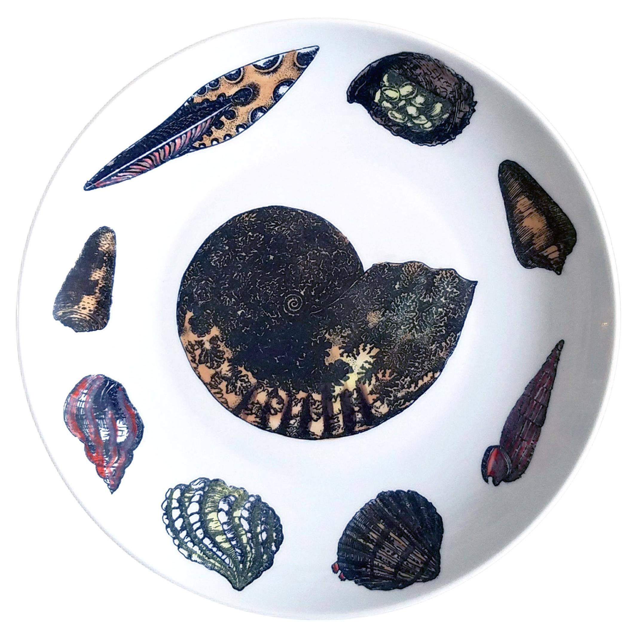 Piatto vintage Piero Fornasetti con motivo Conchiglie con anemoni di mare e conchiglie