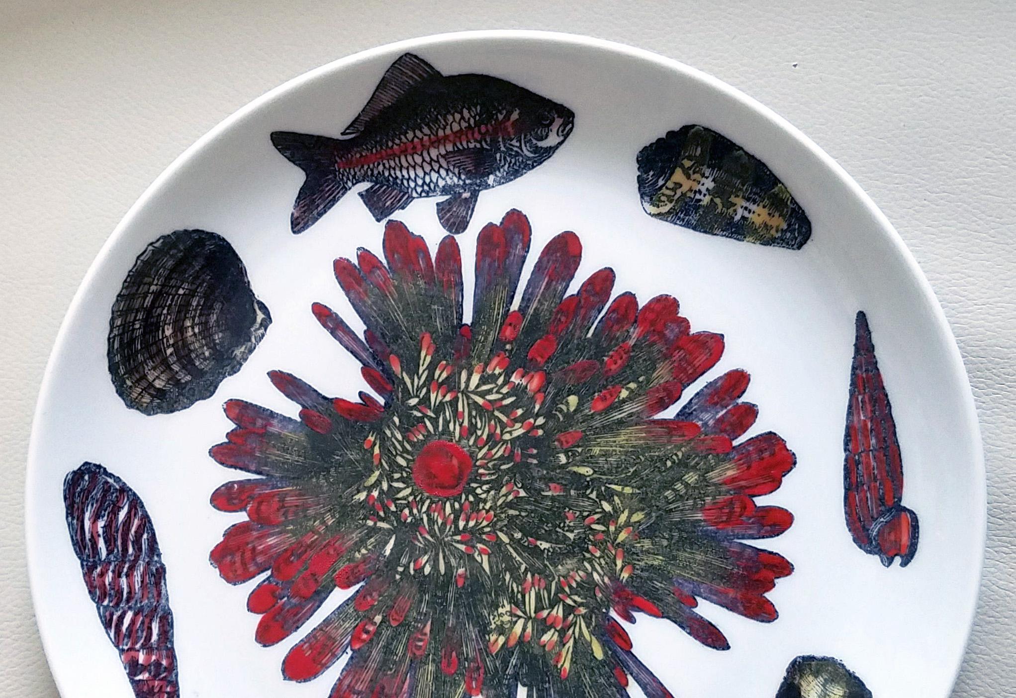 Platos de porcelana Piero Fornasetti, Pareja decorados con conchas de mar y anémonas siglo XX en venta
