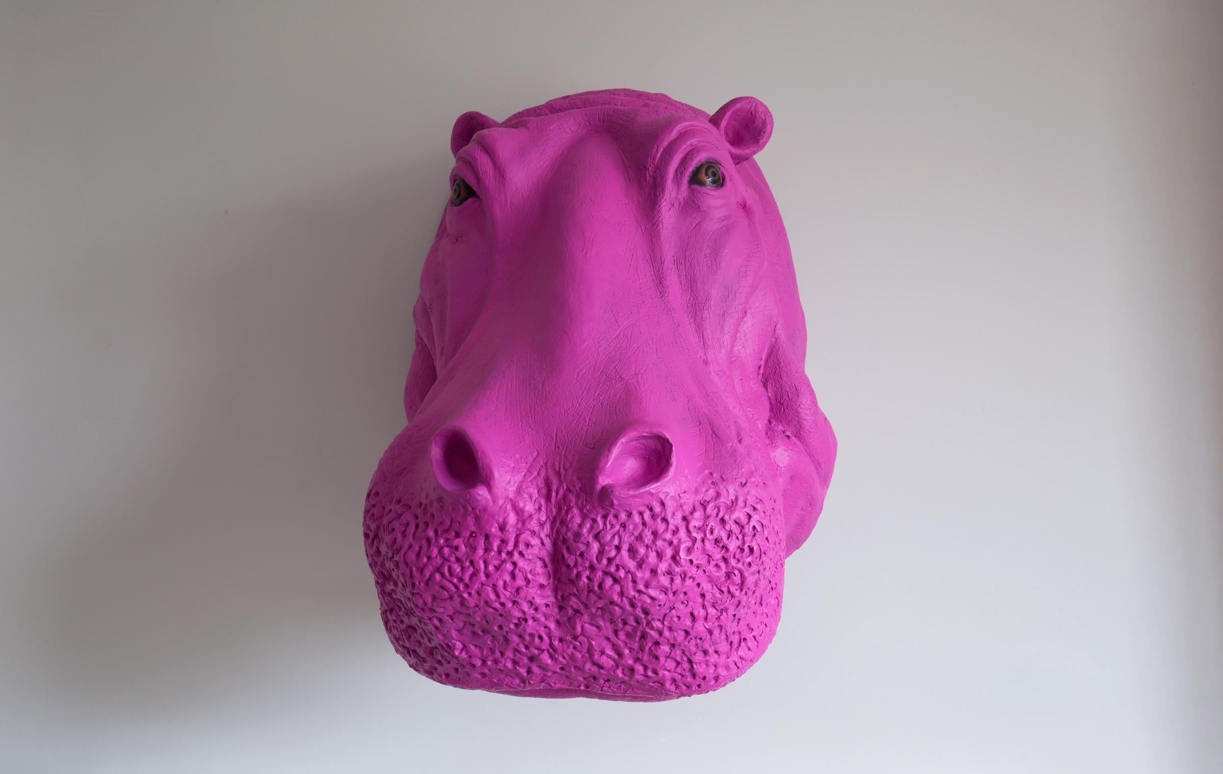 A reclaimed vintage pink Hippo Head. Handcrafted from fiberglass.

 