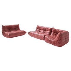 Vintage Pink Leather Togo by Michel Ducaroy for Ligne Roset France