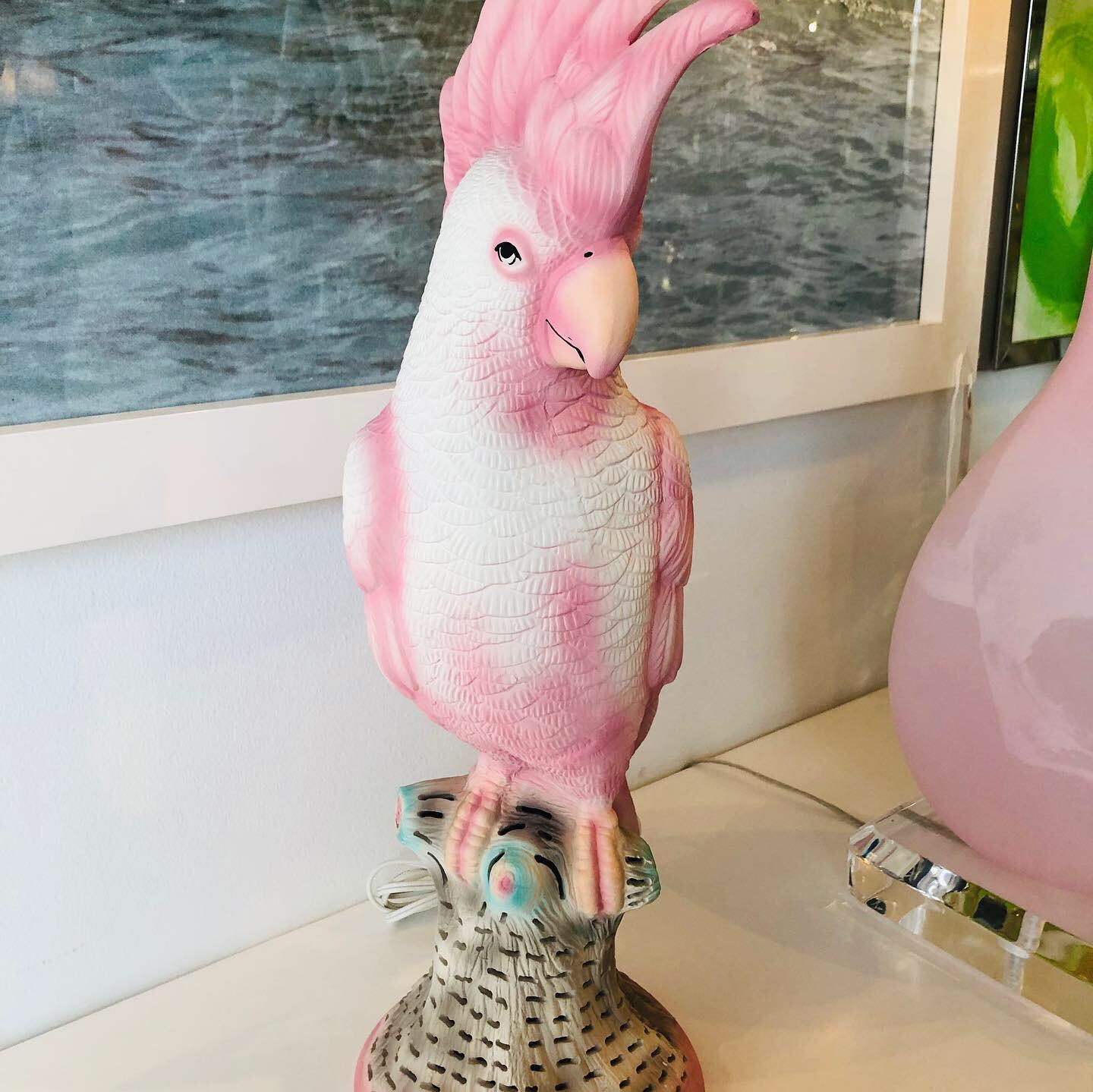 Vintage Pink Parrot Cockatoo Bird Tropical Palm Beach Table Lamp Nightlight  2