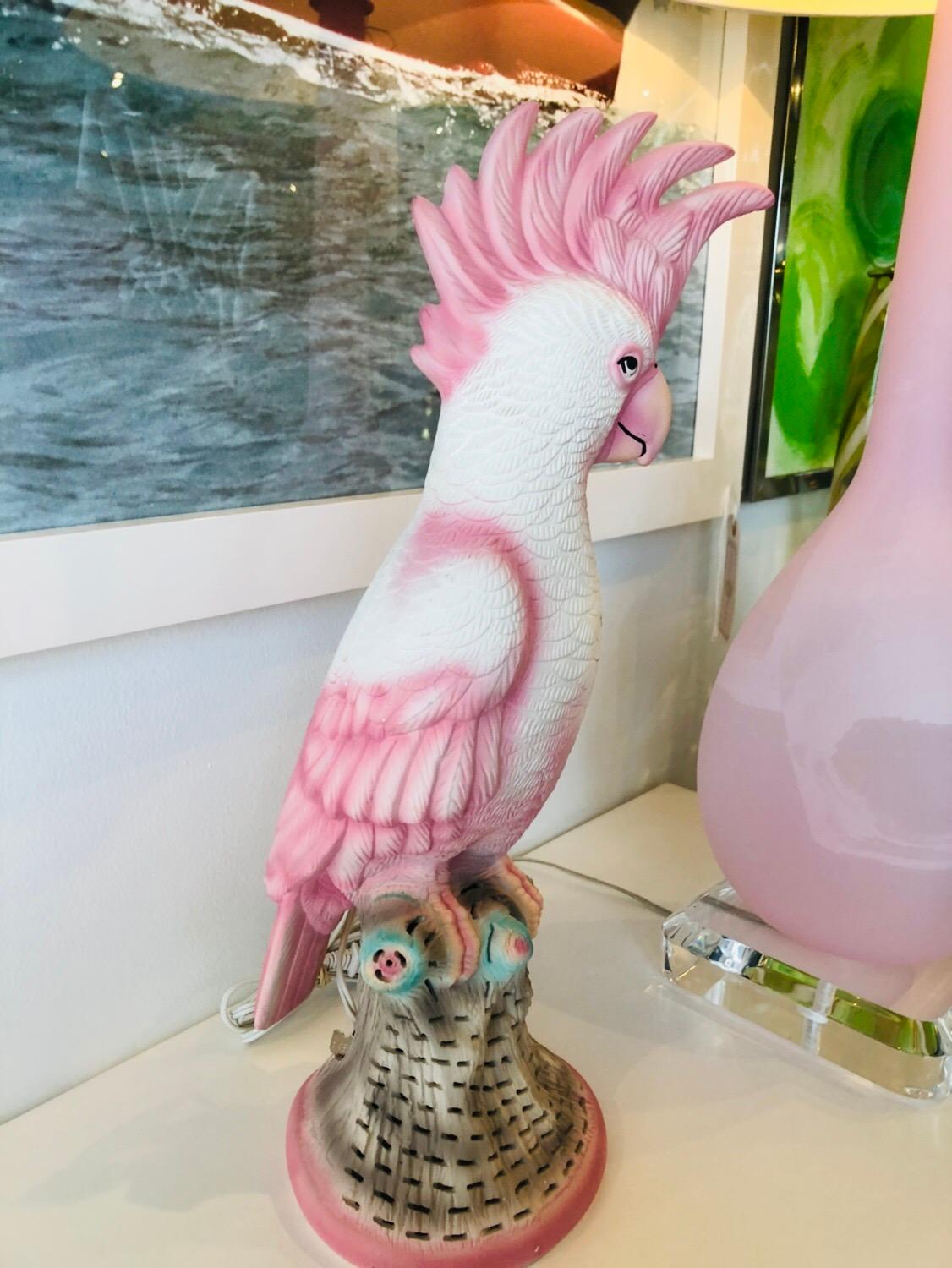 light pink cockatoo