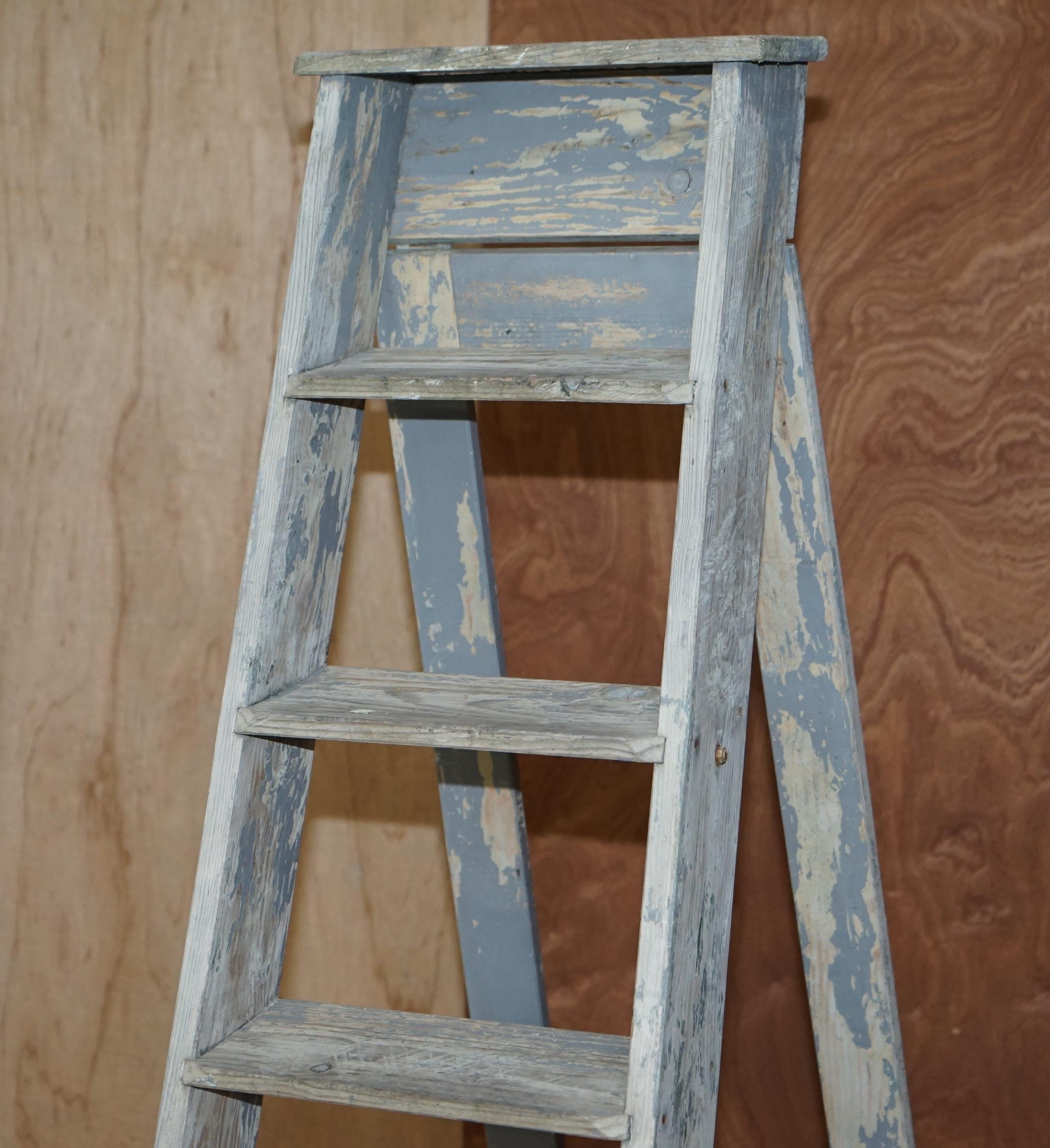 painting ladders