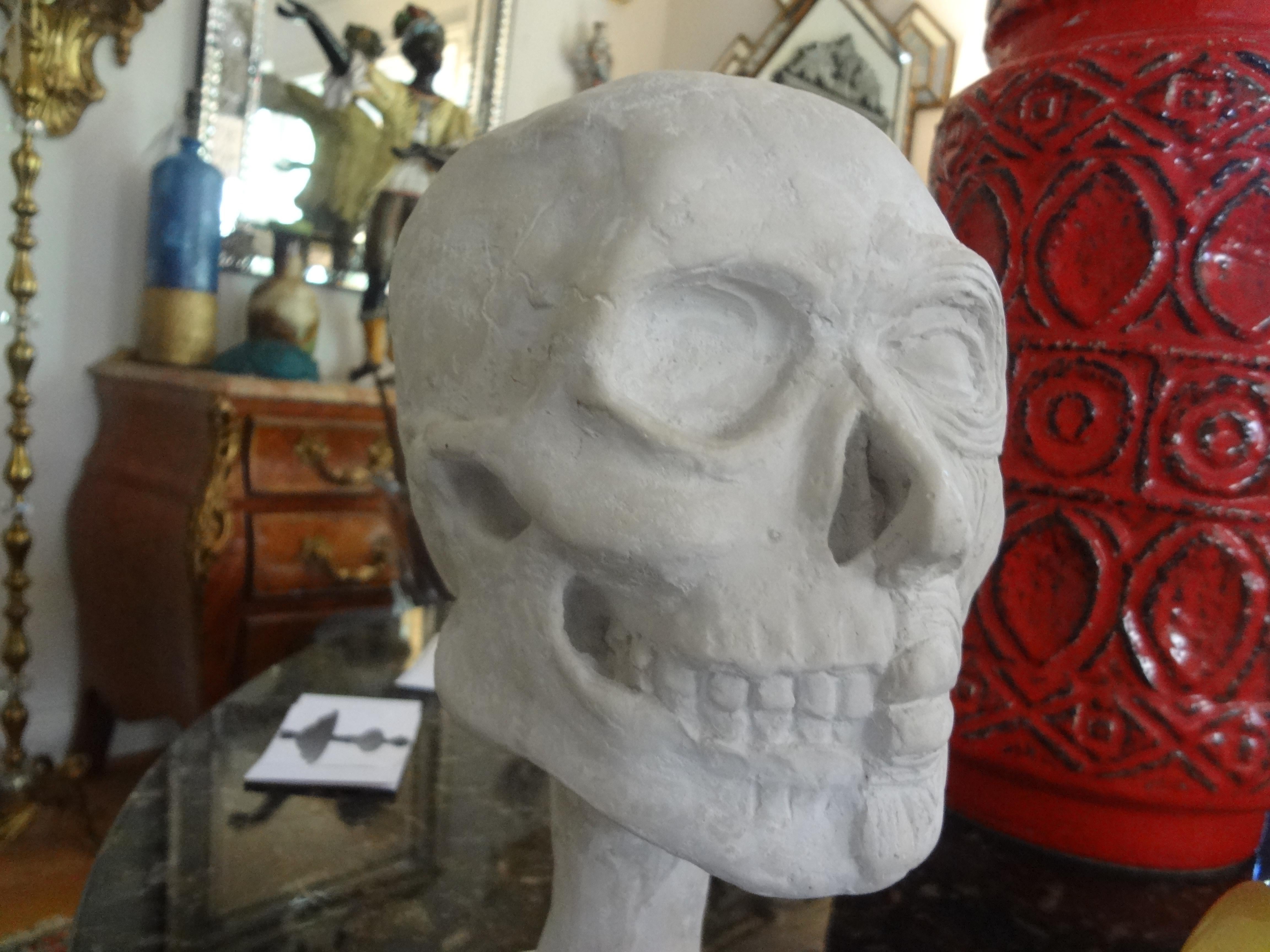 Modèle de crâne anatomique en plâtre vintage en vente 5