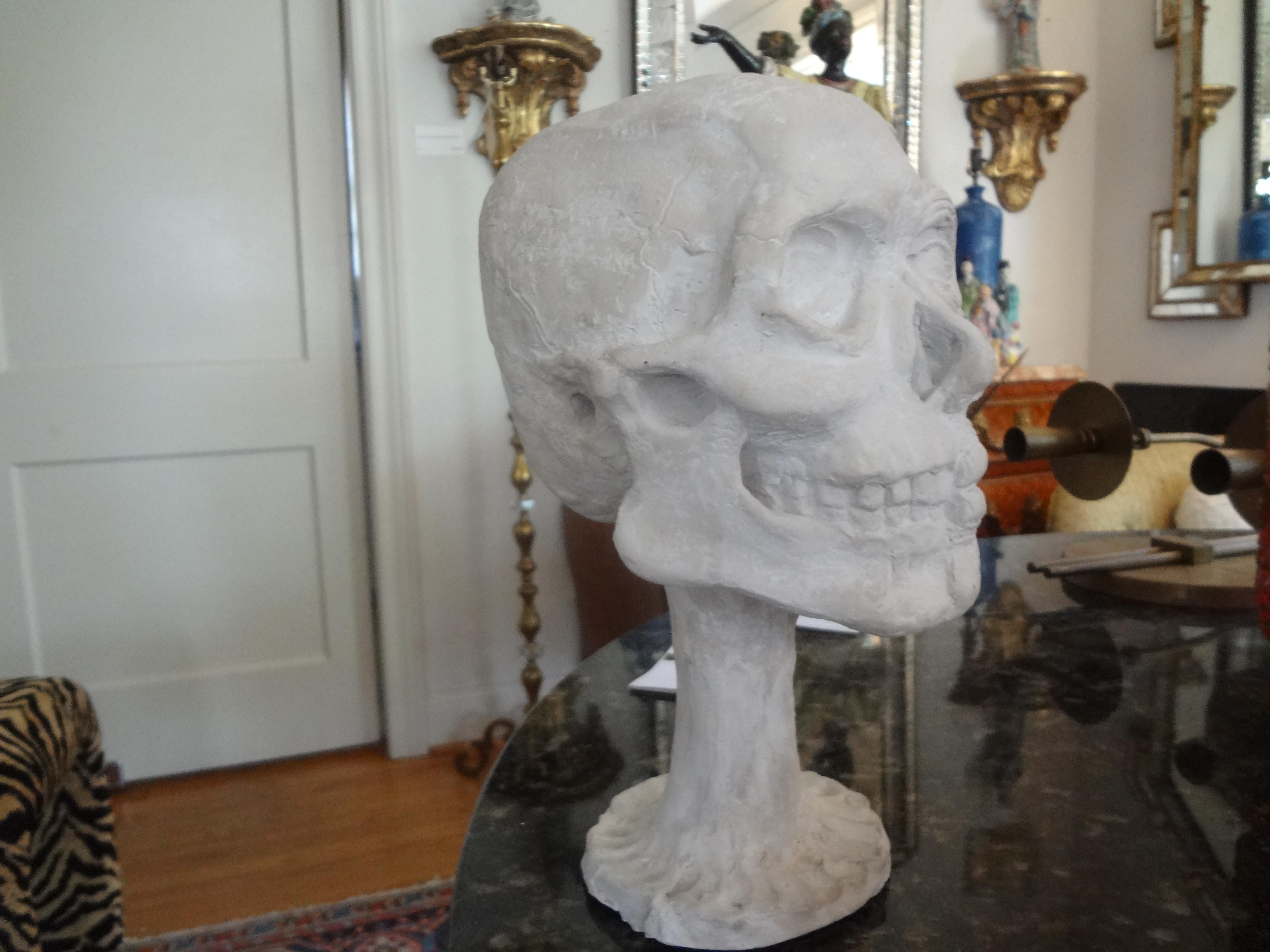 Milieu du XXe siècle Modèle de crâne anatomique en plâtre vintage en vente