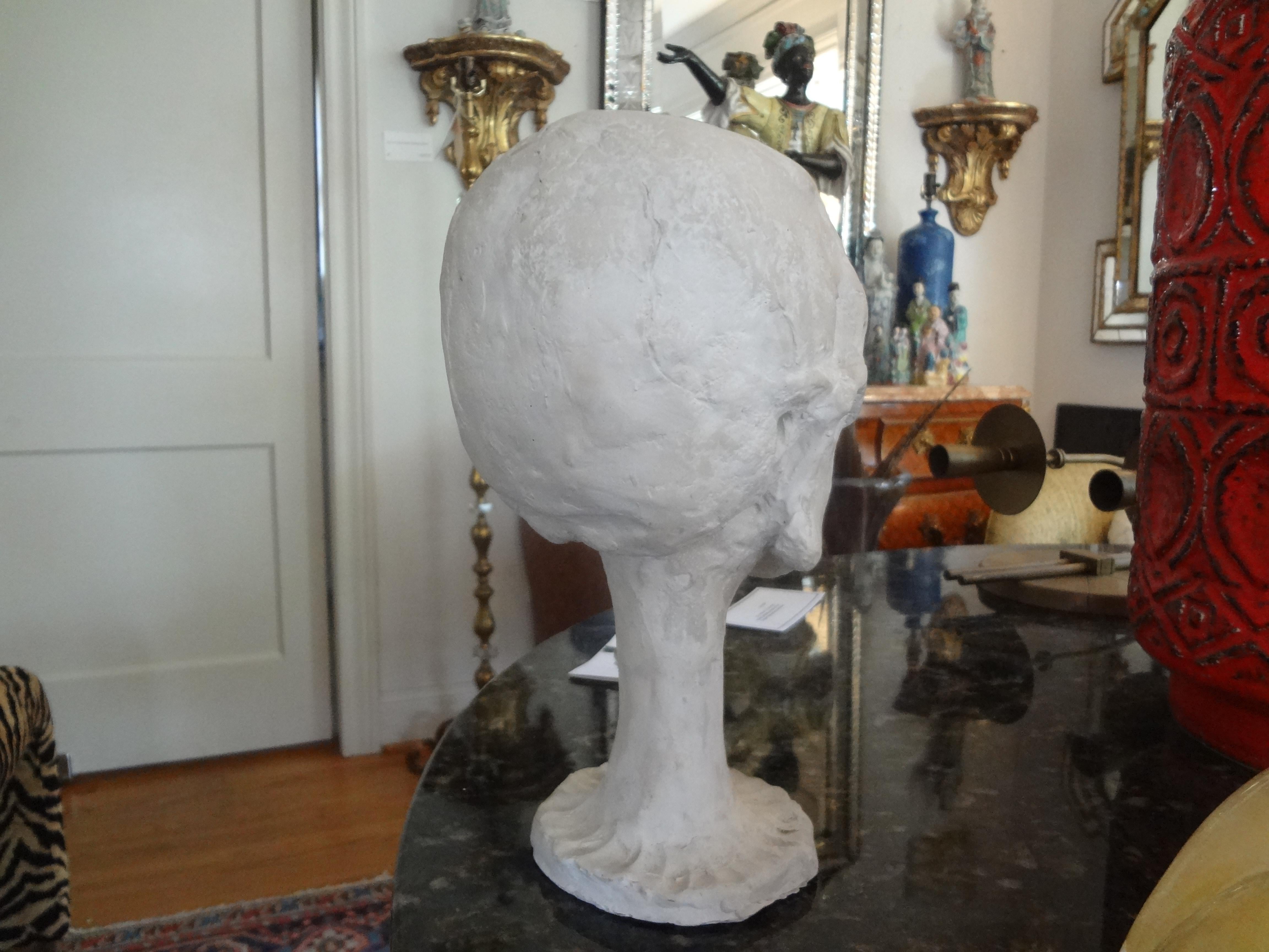 Modèle de crâne anatomique en plâtre vintage en vente 1