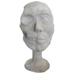 Vintage Plaster Anatomical Skull Model