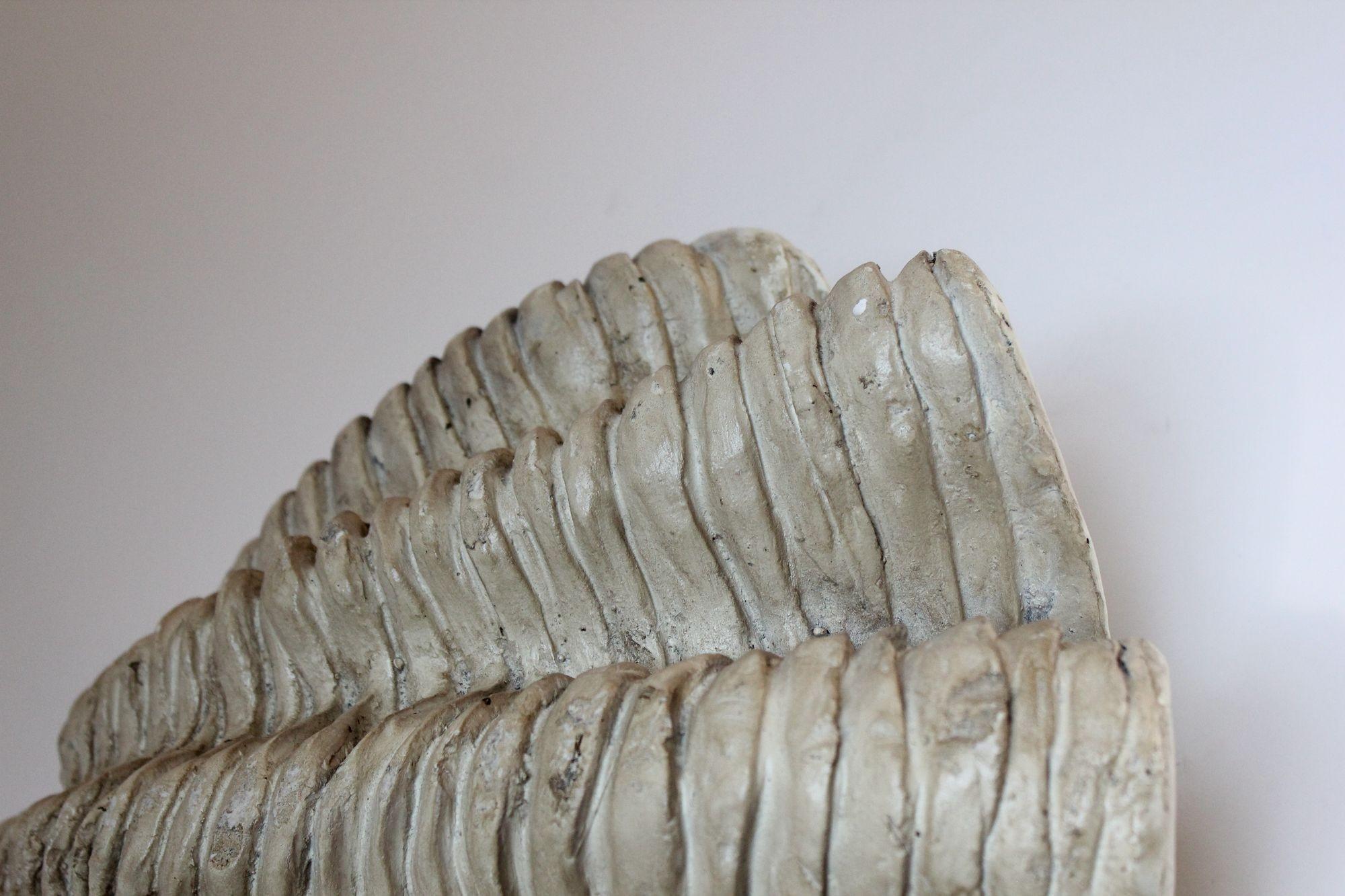 Giant Tridacna Muschel-Tafelaufsatz/Vide Poche aus Gips und Harz im Angebot 1