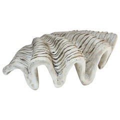 Giant Tridacna Muschel-Tafelaufsatz/Vide Poche aus Gips und Harz