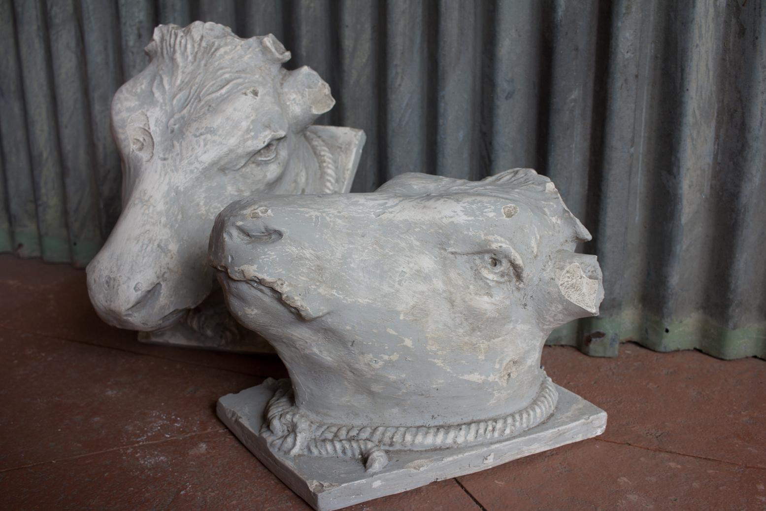 Greco Roman Vintage Plaster Bull’s Head After The Greco or Roman Helenistic Original