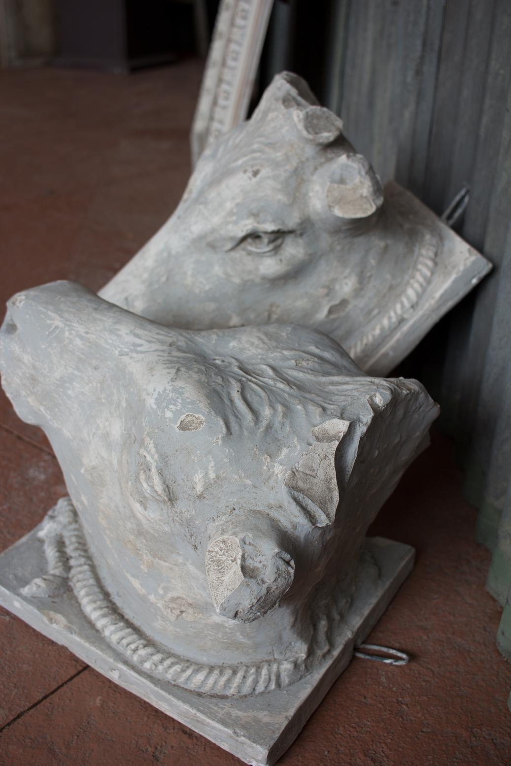 French Vintage Plaster Bull’s Head After The Greco or Roman Helenistic Original