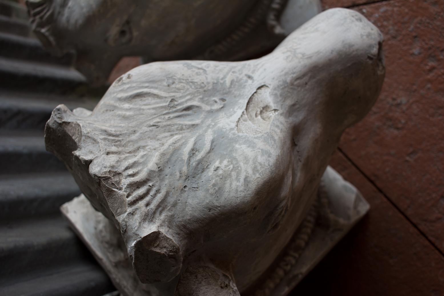 20th Century Vintage Plaster Bull’s Head After The Greco or Roman Helenistic Original