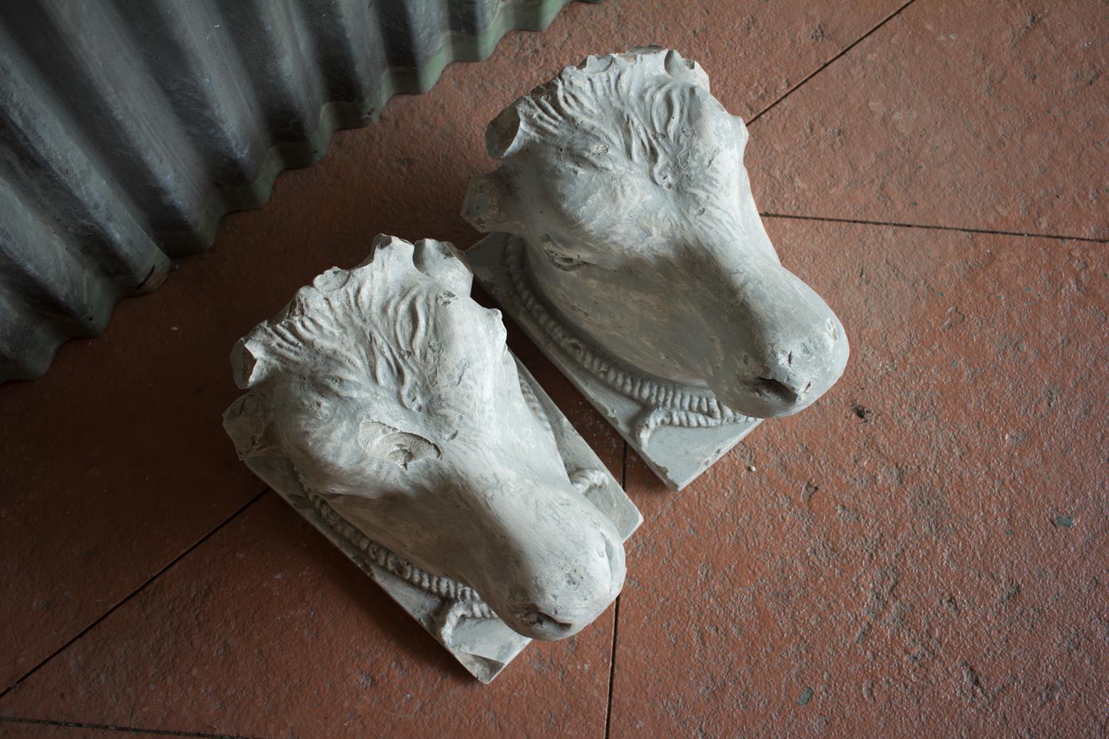 Vintage Plaster Bull’s Head After The Greco or Roman Helenistic Original 1