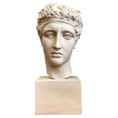 Vintage Plaster Classical Bust Of Roman Warrior