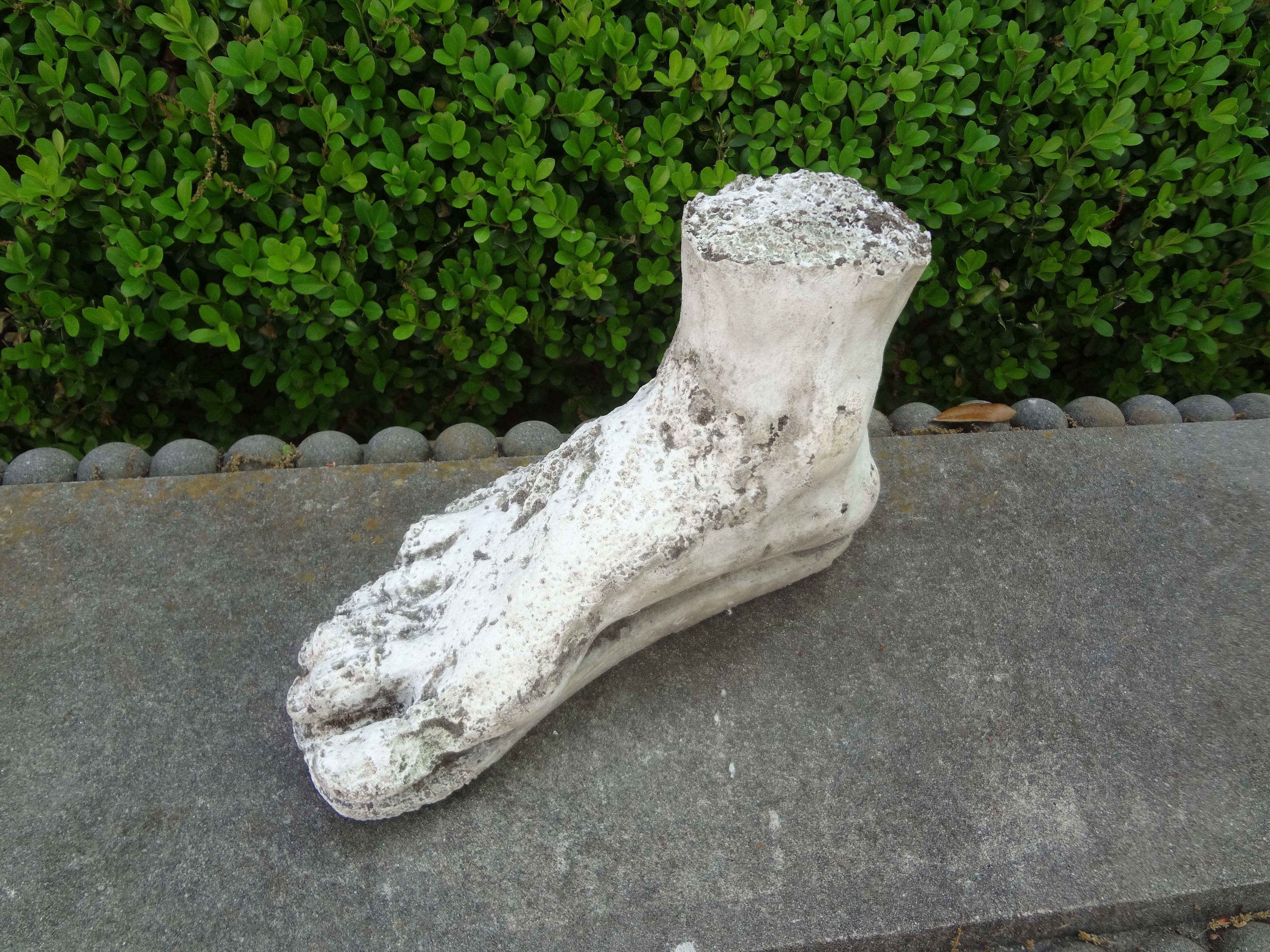 Vintage Plaster Foot of Hercules 6