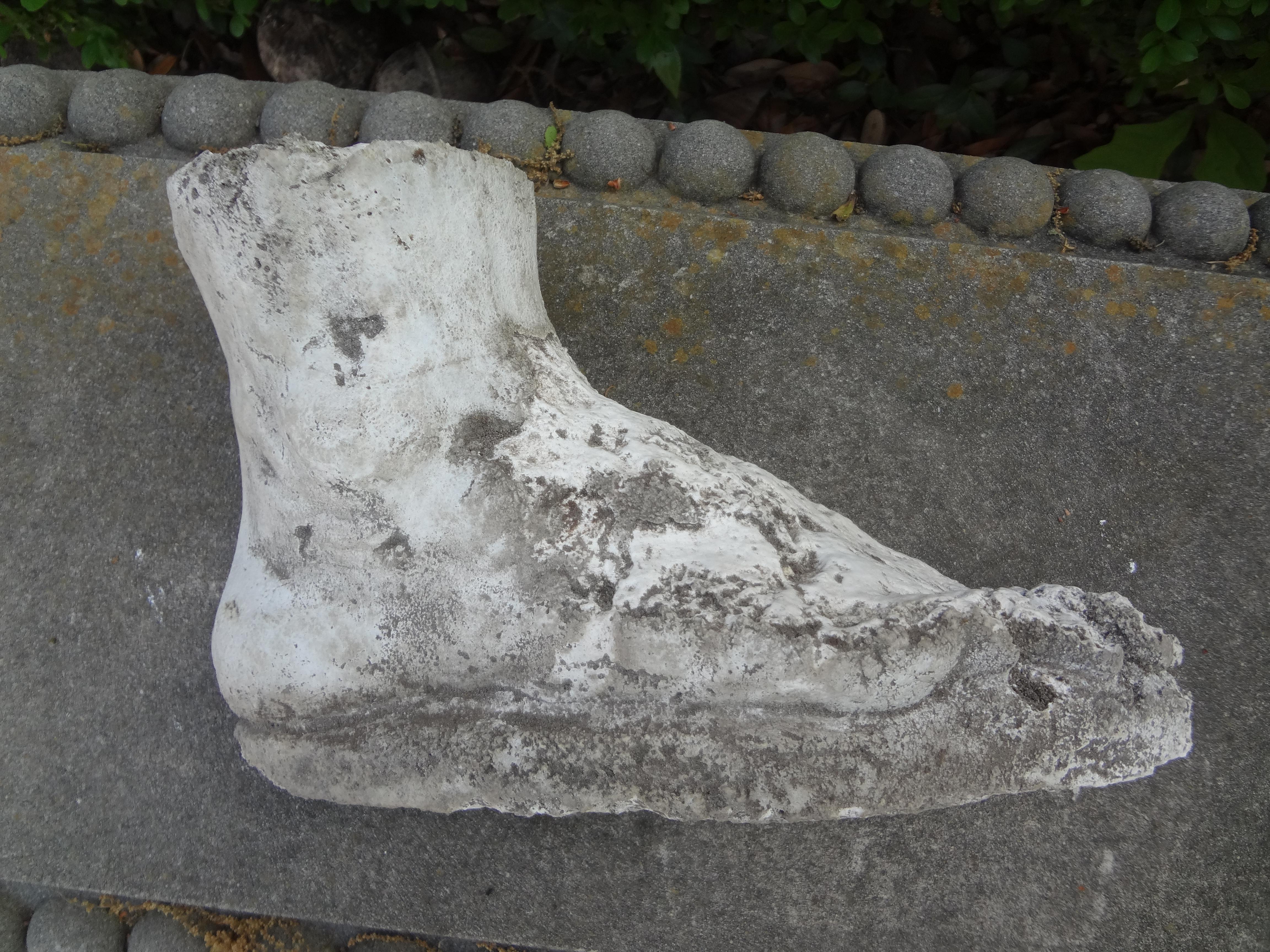 Vintage Plaster Foot of Hercules 4