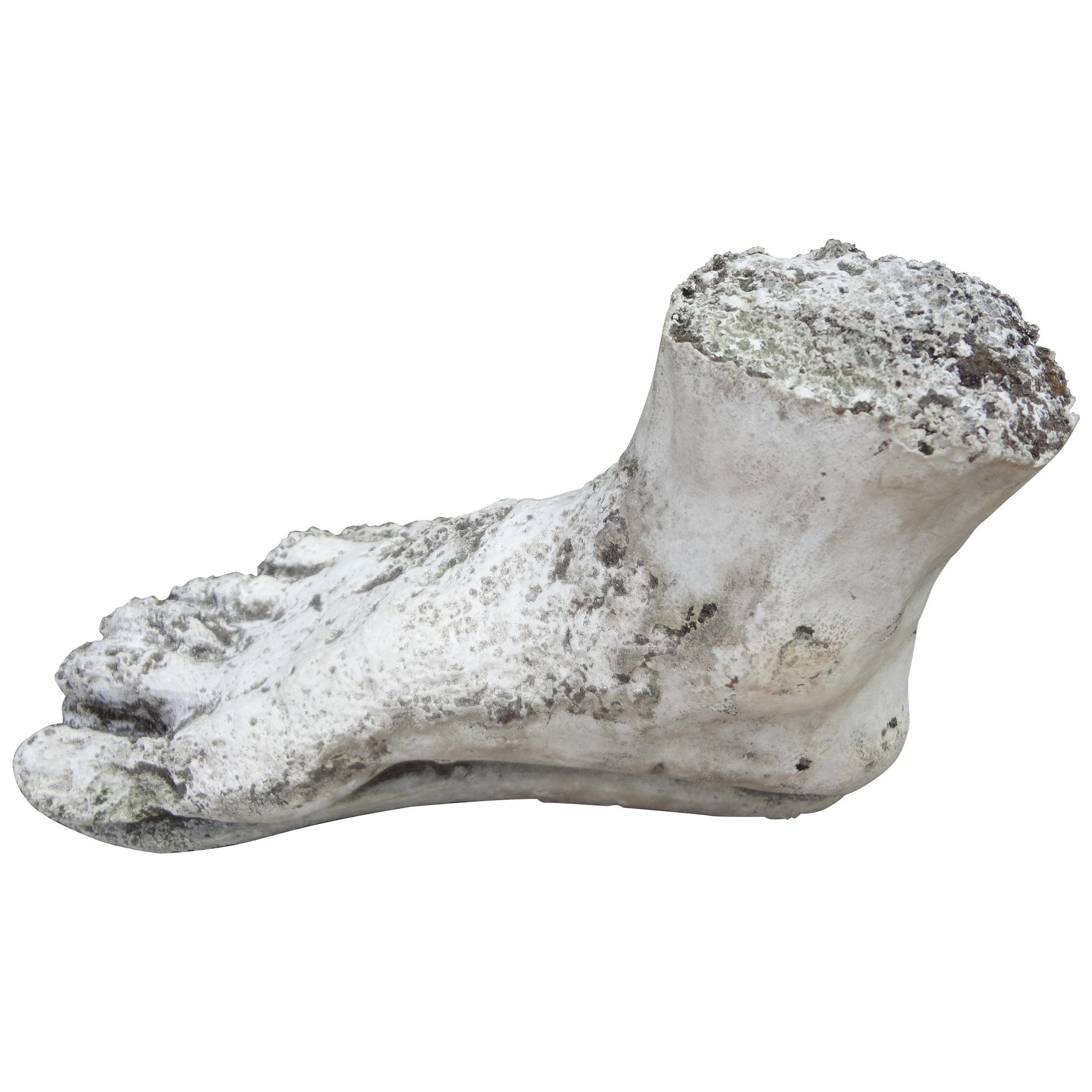 Vintage Plaster Foot of Hercules