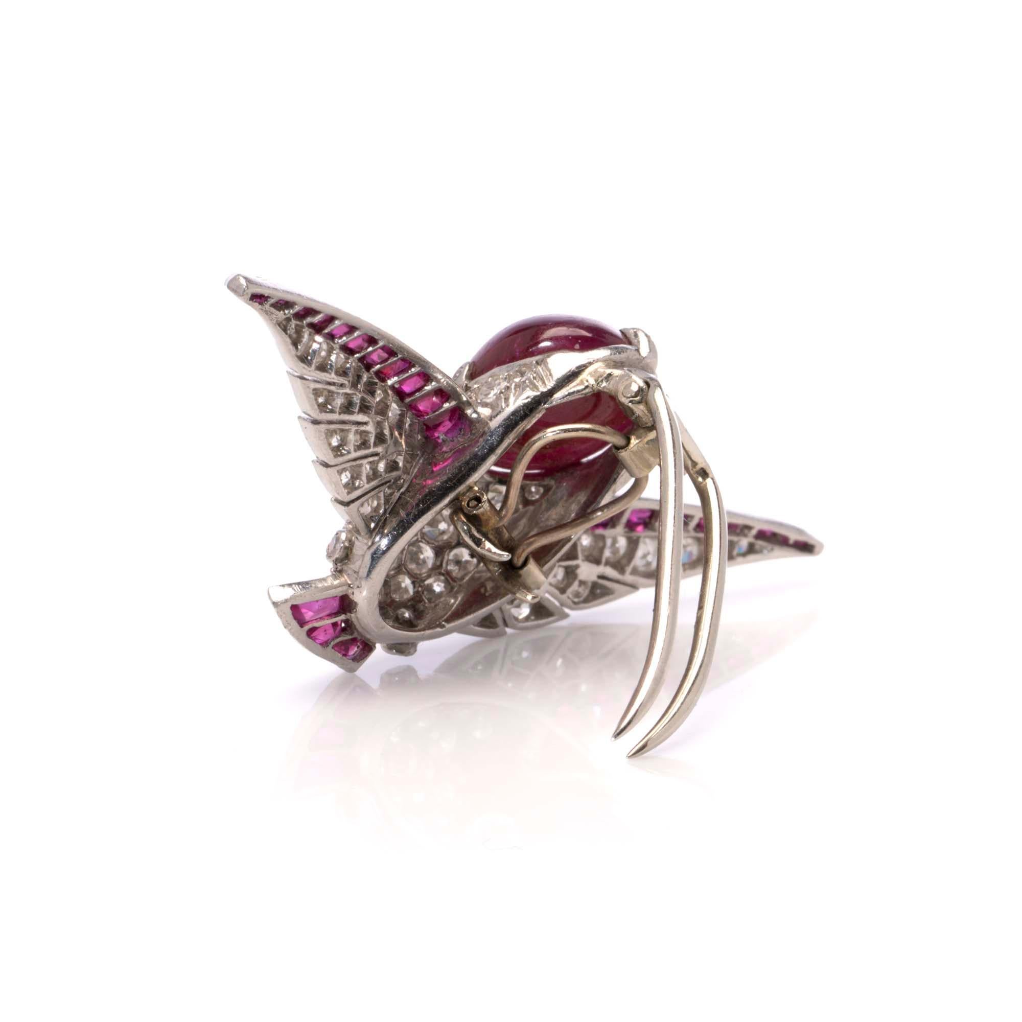 Vintage platinum diamond and ruby humming bird brooch. For Sale 1