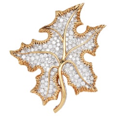 Brooches