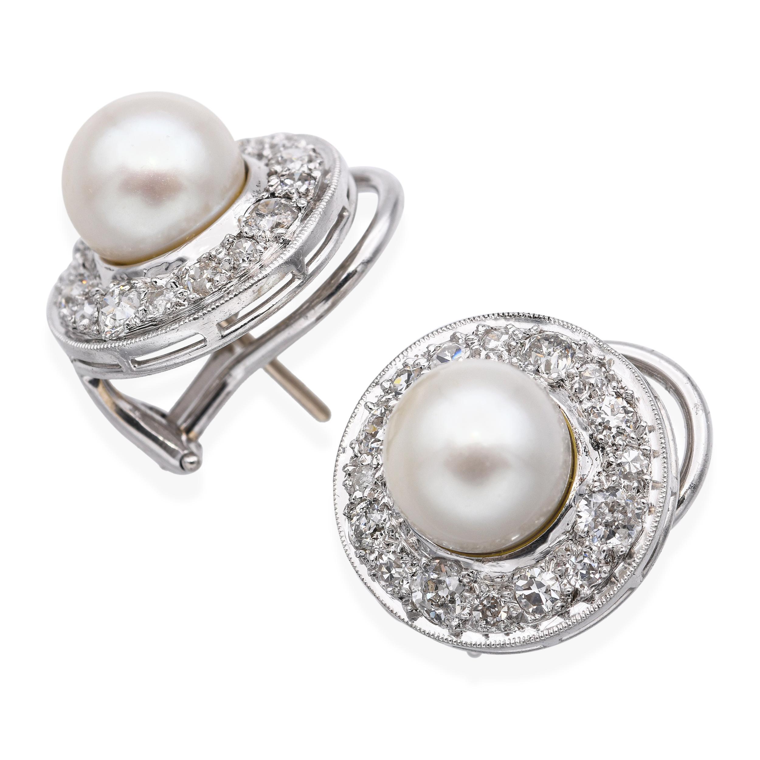 Estos elegantes pendientes están elaborados en lujoso platino y presentan luminosas perlas cultivadas acentuadas por brillantes diamantes blancos. El refinado diseño muestra las perlas en el centro, enmarcadas por diamantes talla brillante que