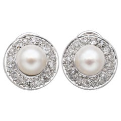 Drop Earrings