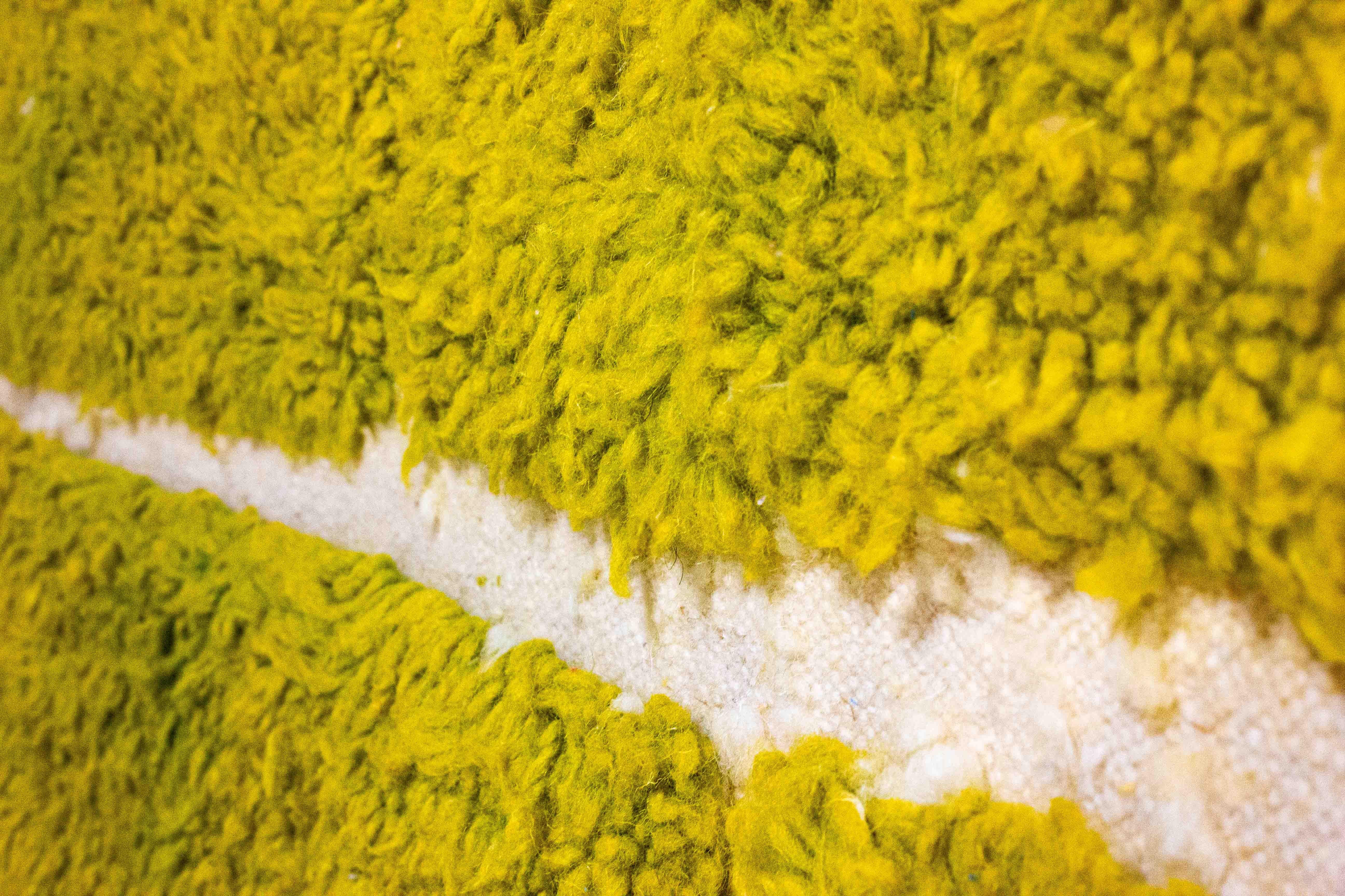 Vintage plushy folk art berber rug in lime green wool In Good Condition For Sale In Antwerpen, VAN