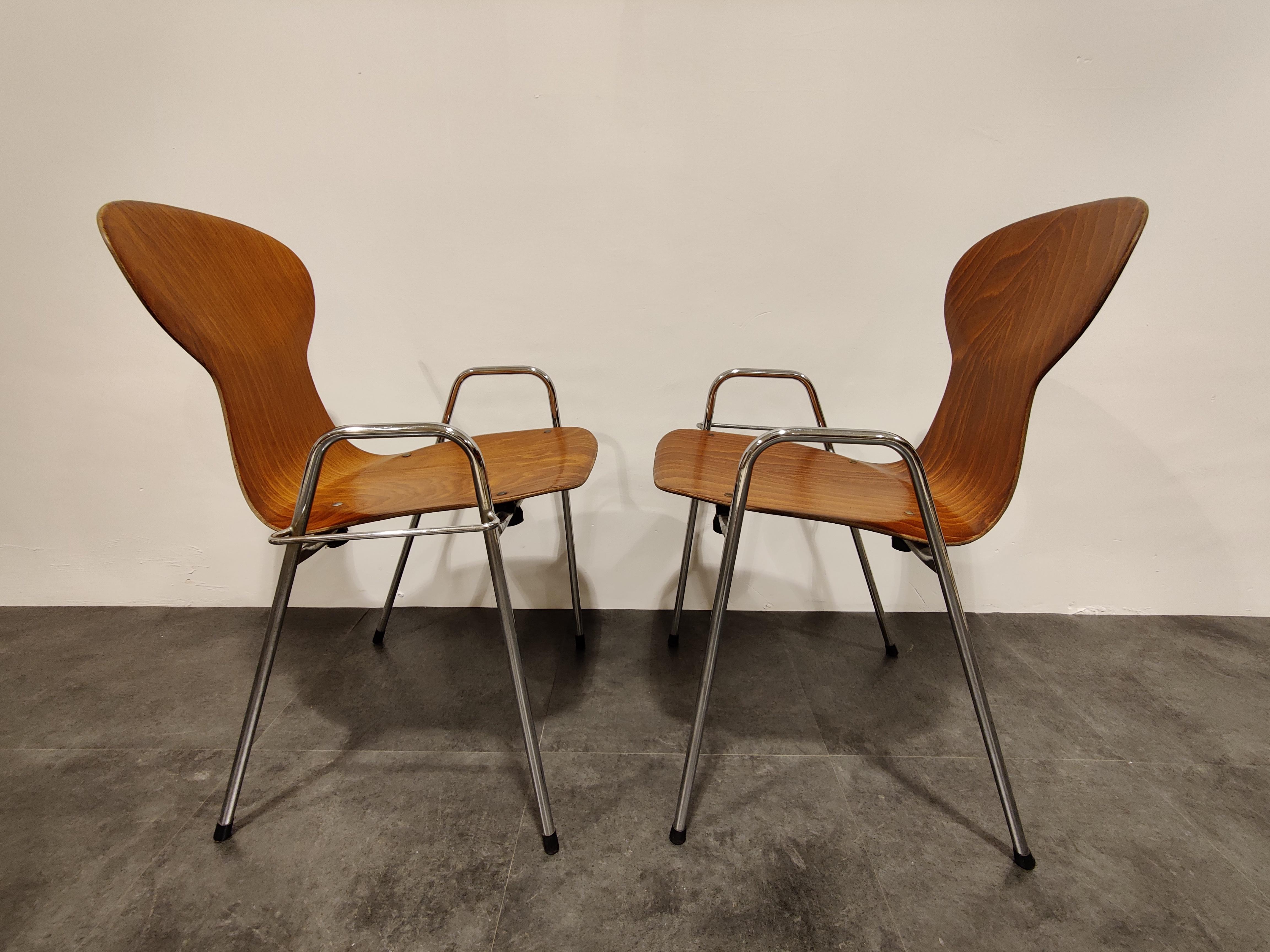 Belgian Vintage Plywood Chairs by Tubax, Belgium, Set of 8, 1980s