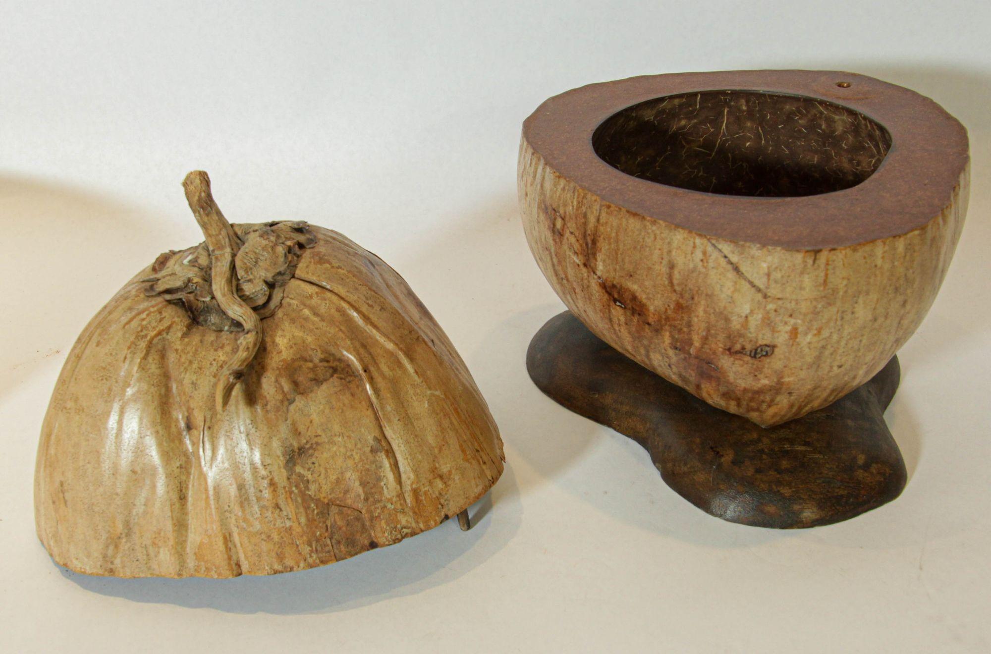 Cubitera vintage de cáscara de coco entera partida y pulida, 1970 Moderno orgánico en venta
