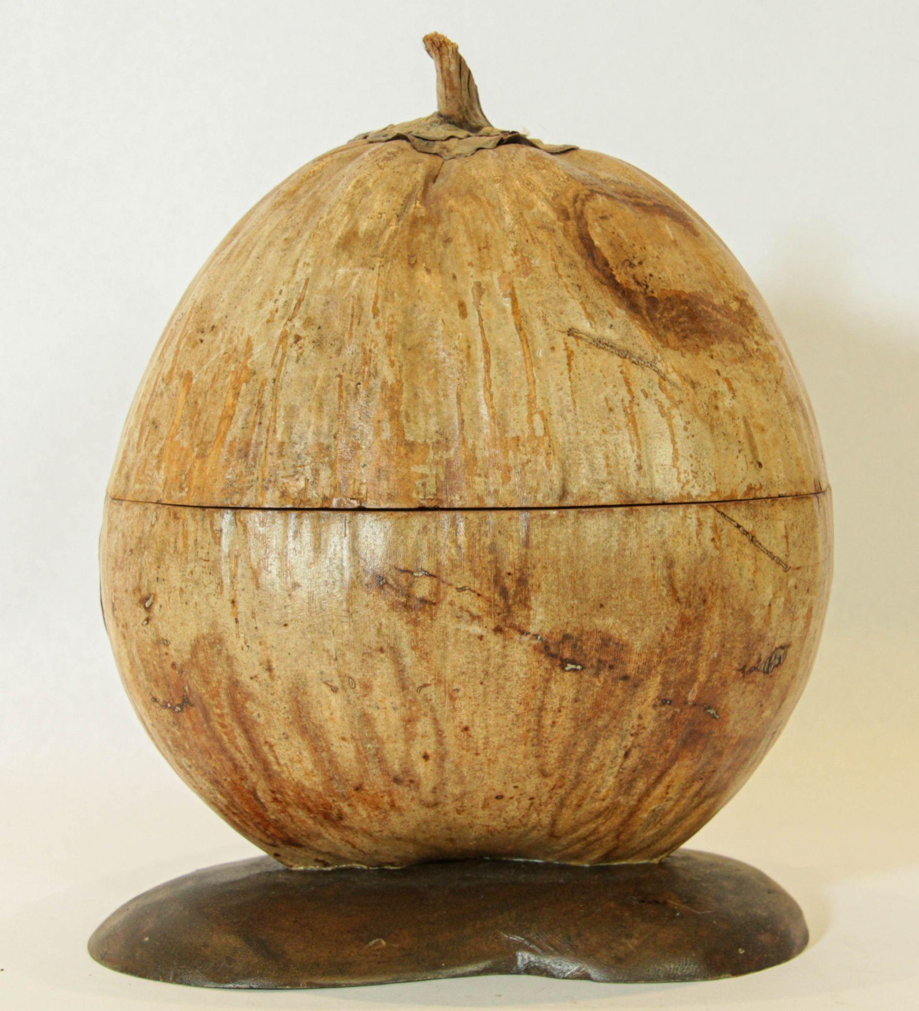 Cubitera vintage de cáscara de coco entera partida y pulida, 1970 siglo XX en venta