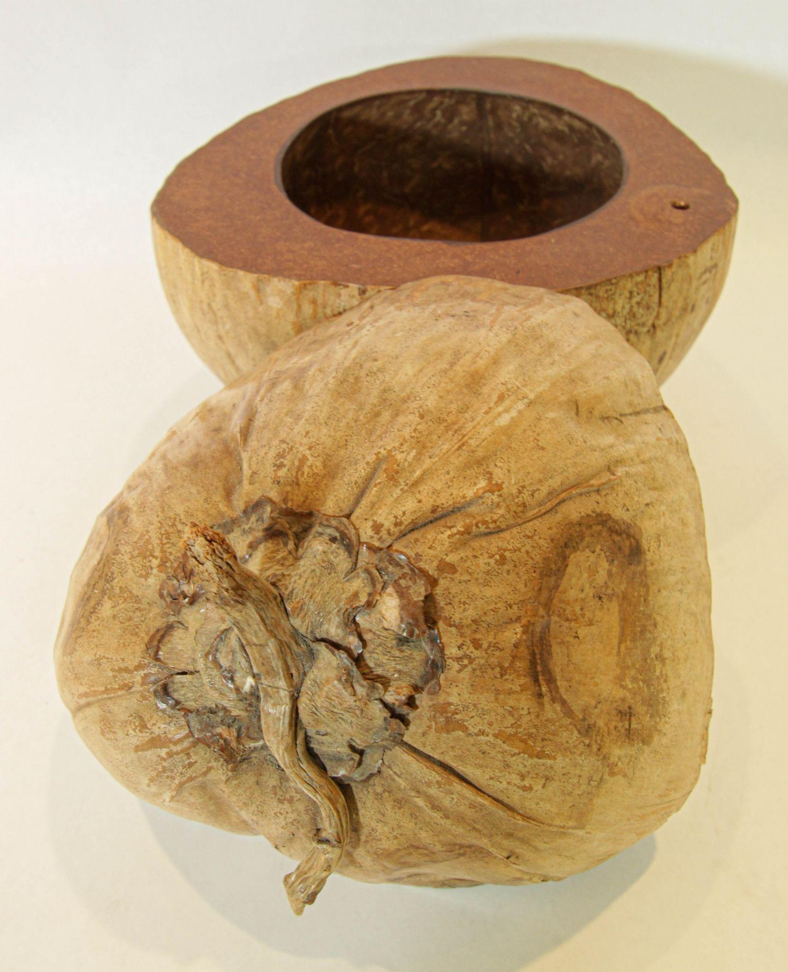 Cubitera vintage de cáscara de coco entera partida y pulida, 1970 Madera en venta