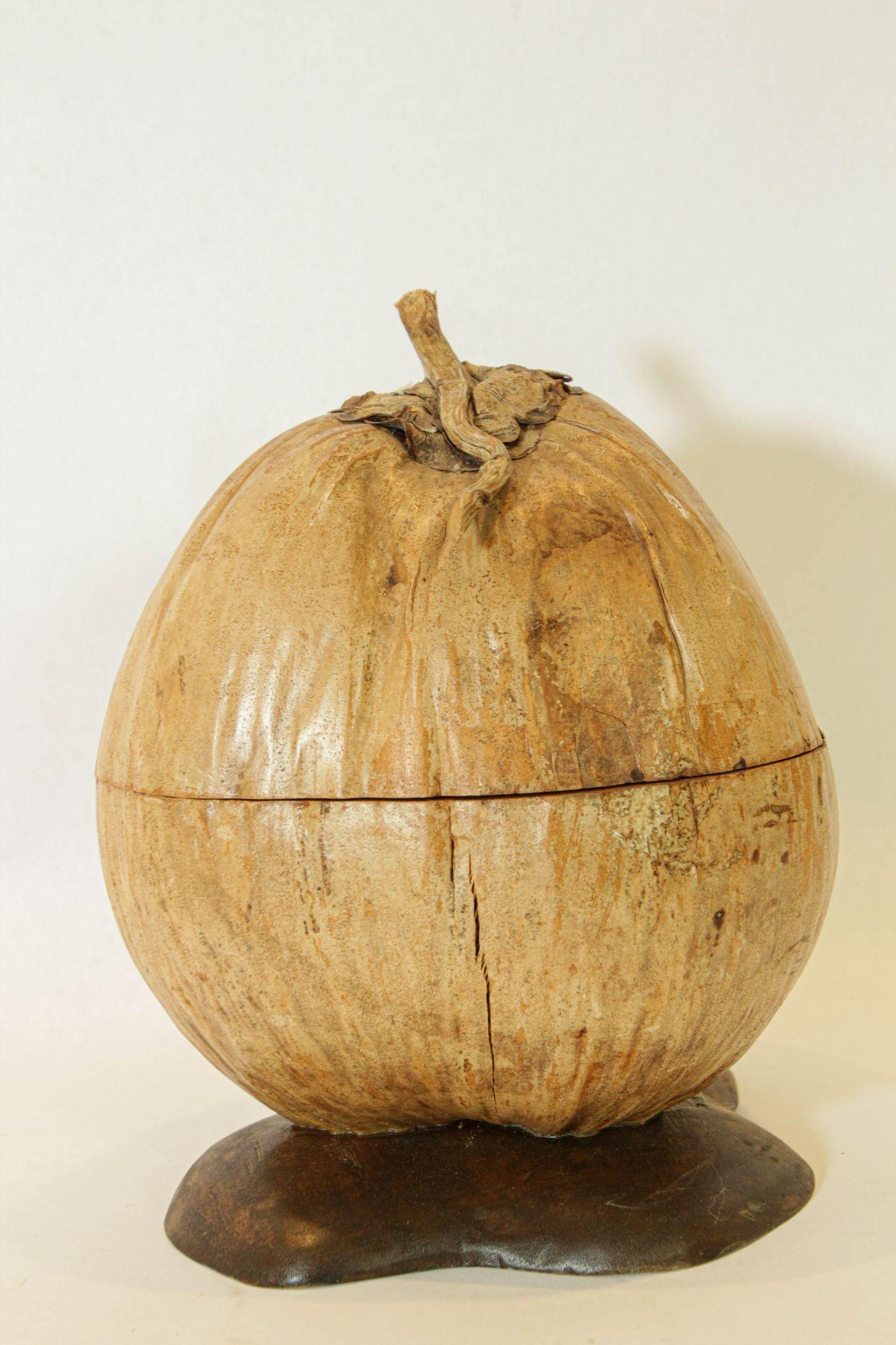 Cubitera vintage de cáscara de coco entera partida y pulida, 1970 en venta 1