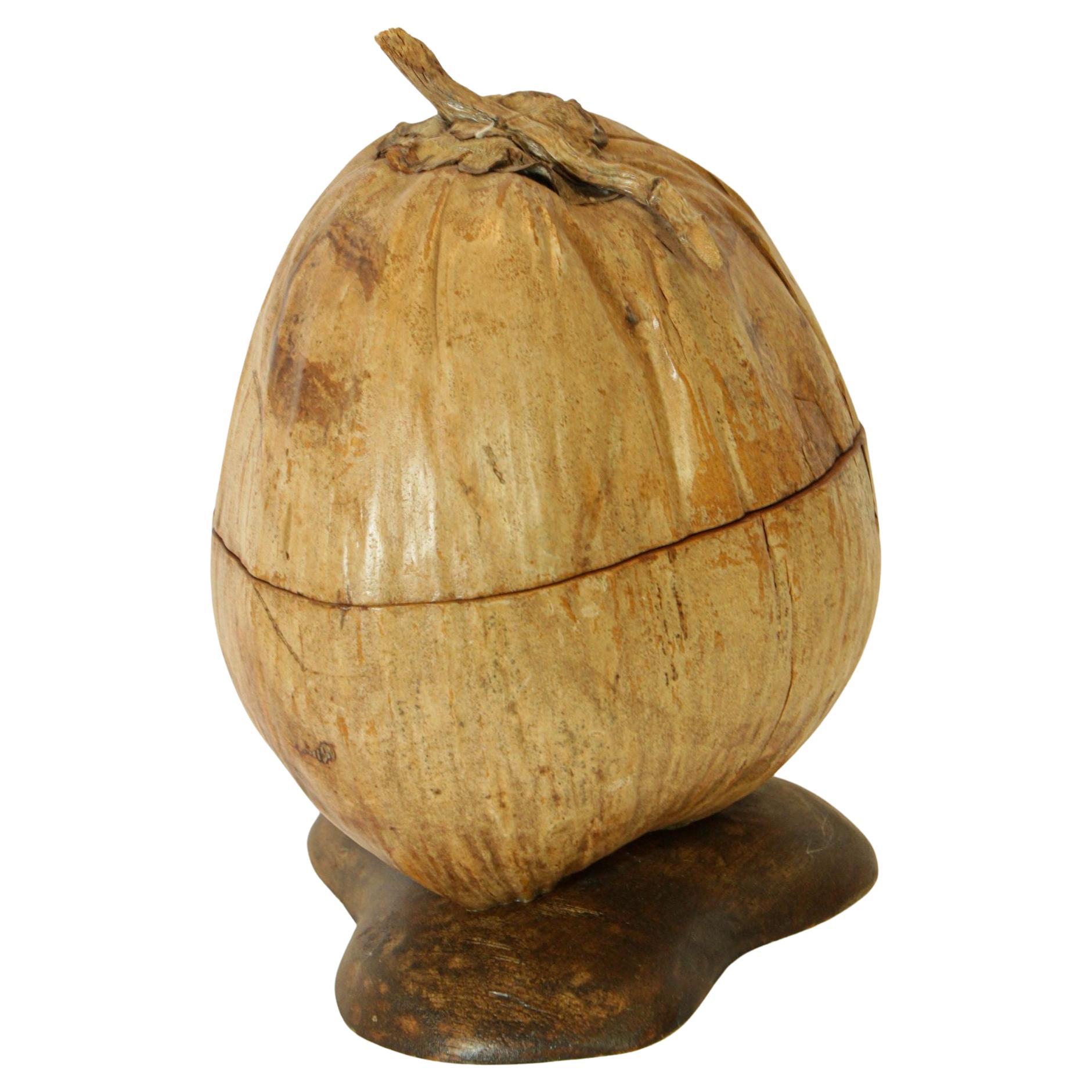Cubitera vintage de cáscara de coco entera partida y pulida, 1970 en venta
