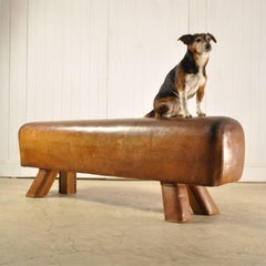 Vintage Pommel Horse Bench