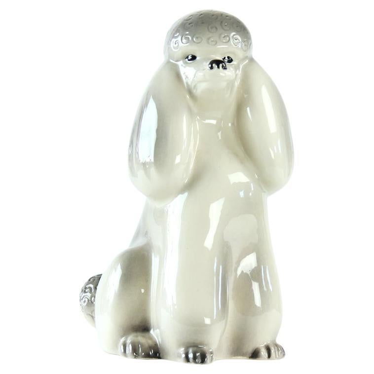 Vintage Poodle Statue In Porcelain By Jihokera, Czechoslovakia 1960s For Sale