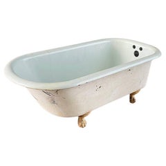 Vintage Porcelain & Iron Bath Tub with Claw Feet