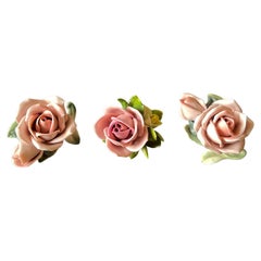 Vintage Porcelain Roses by Karl ENS Volkstedt & Kaiser Porzellan, Germany