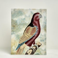 Vintage Porcelain Vase with birds or Parrots by John Derian