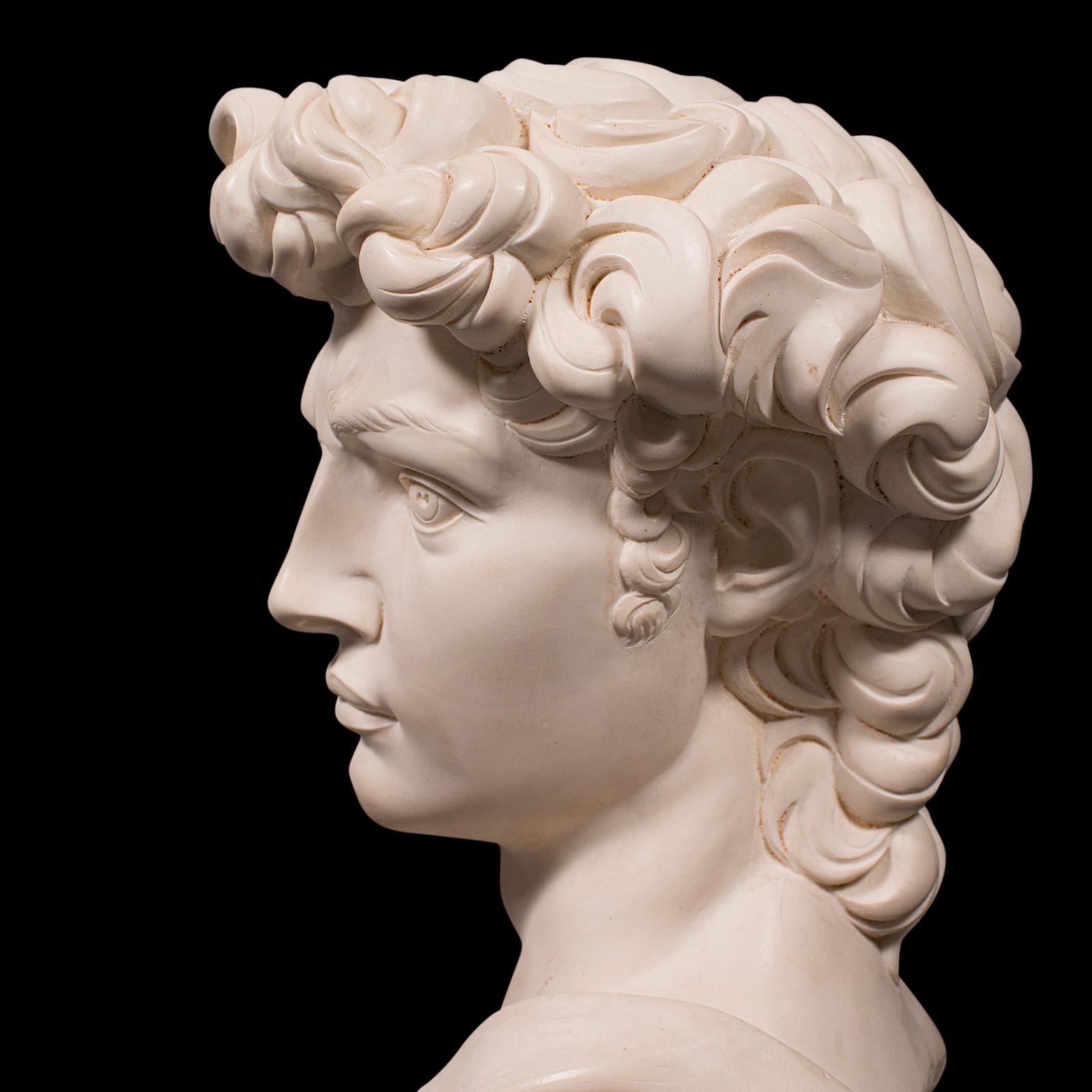 Vintage Portrait Bust, Italian, Marble Base, Statue, Michelangelo, David, Decor 4