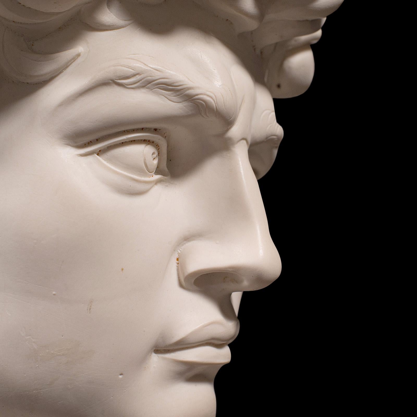 Vintage Portrait Bust, Italian, Marble Base, Statue, Michelangelo, David, Decor 6