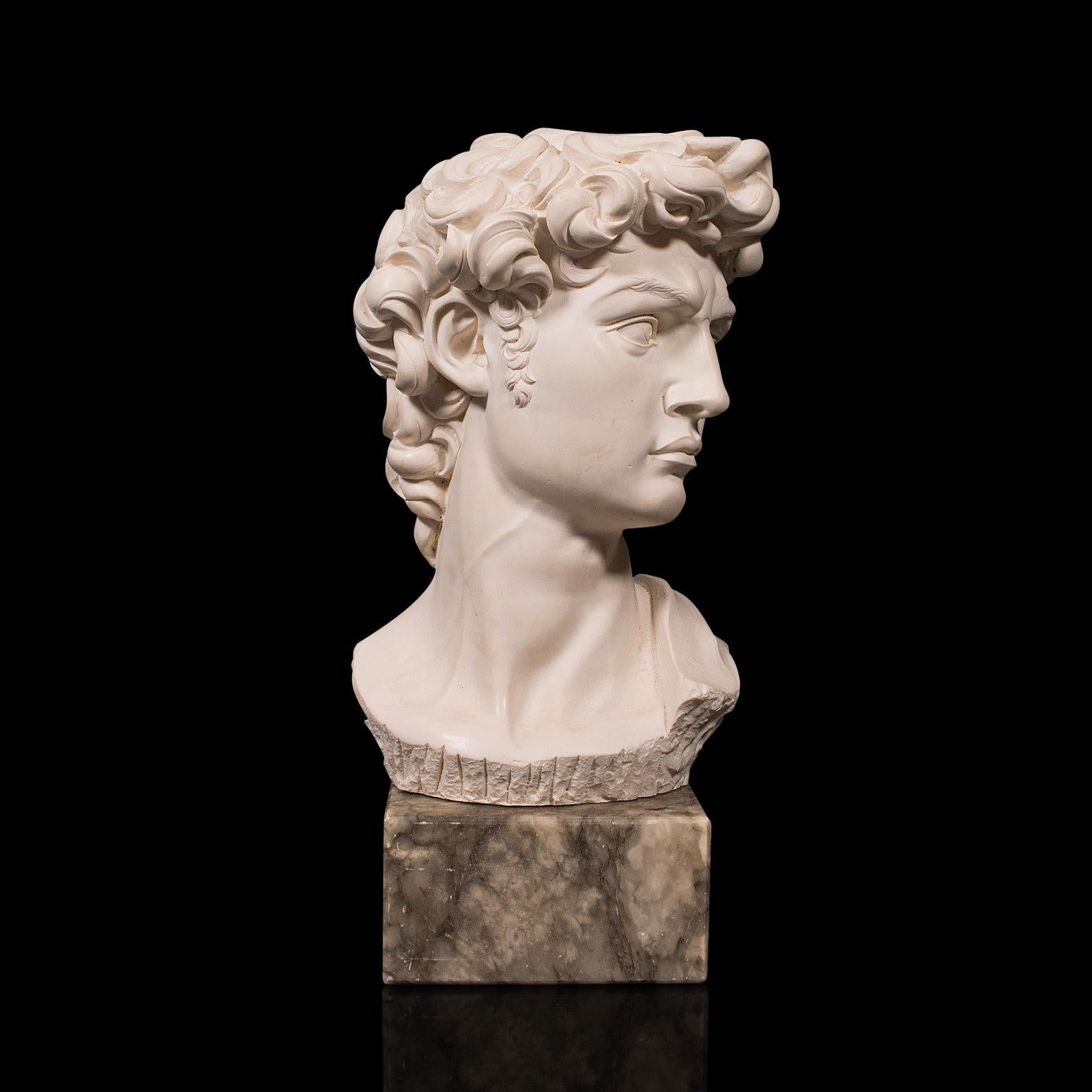 This is a vintage portrait bust. An Italian, composite stone and marble statue of Michelangelo's David, dating to the late 20th century, circa 1980.

Wonderfully expressive bust of Michelangelo's famous David statue
Displays a desirable aged