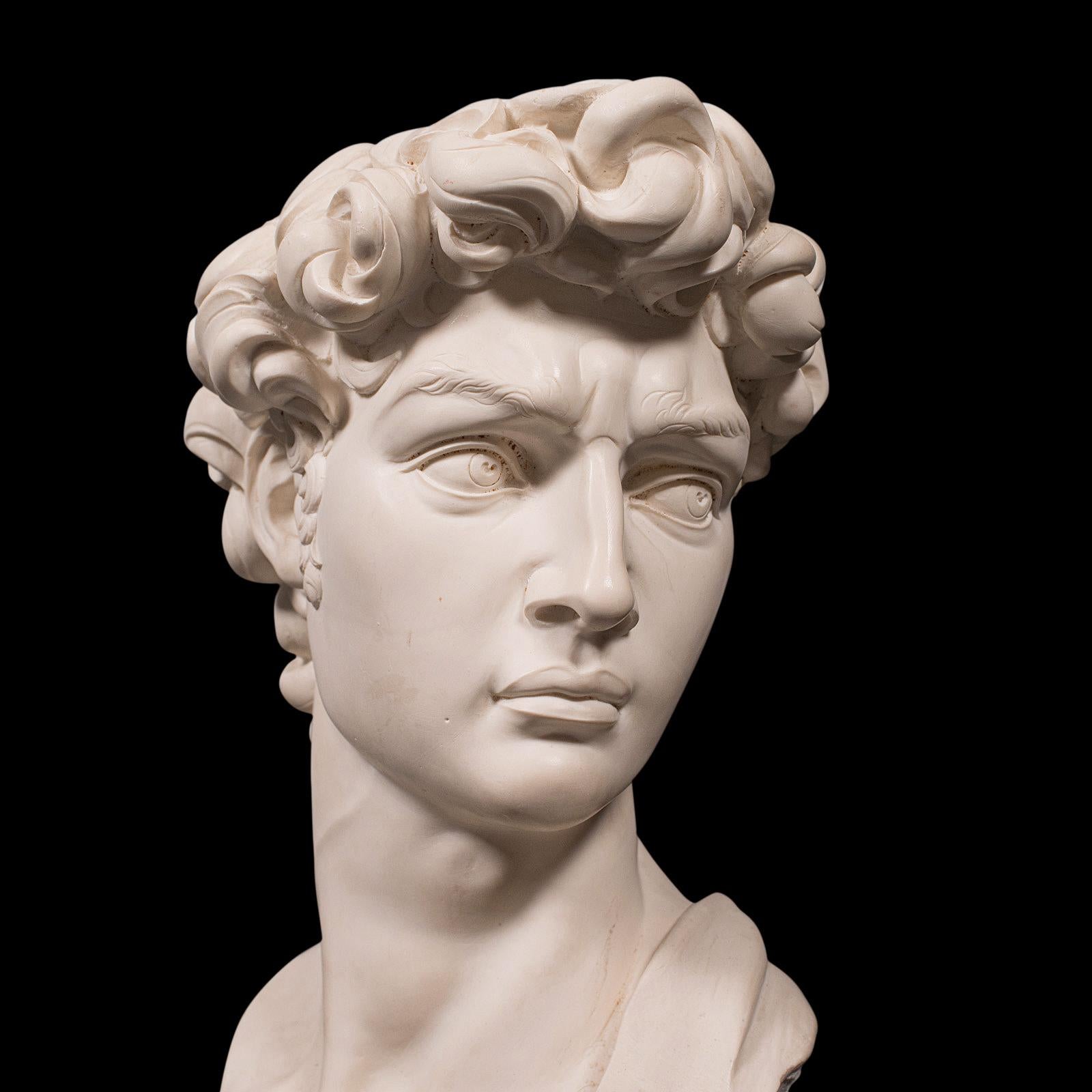 Vintage Portrait Bust, Italian, Marble Base, Statue, Michelangelo, David, Decor 2
