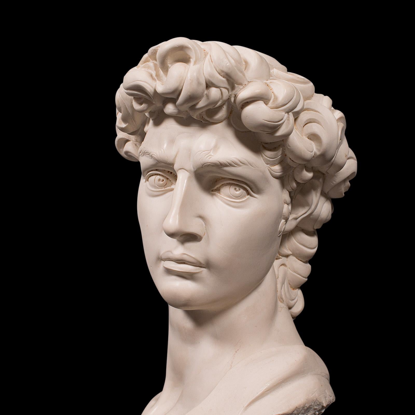 Vintage Portrait Bust, Italian, Marble Base, Statue, Michelangelo, David, Decor 3