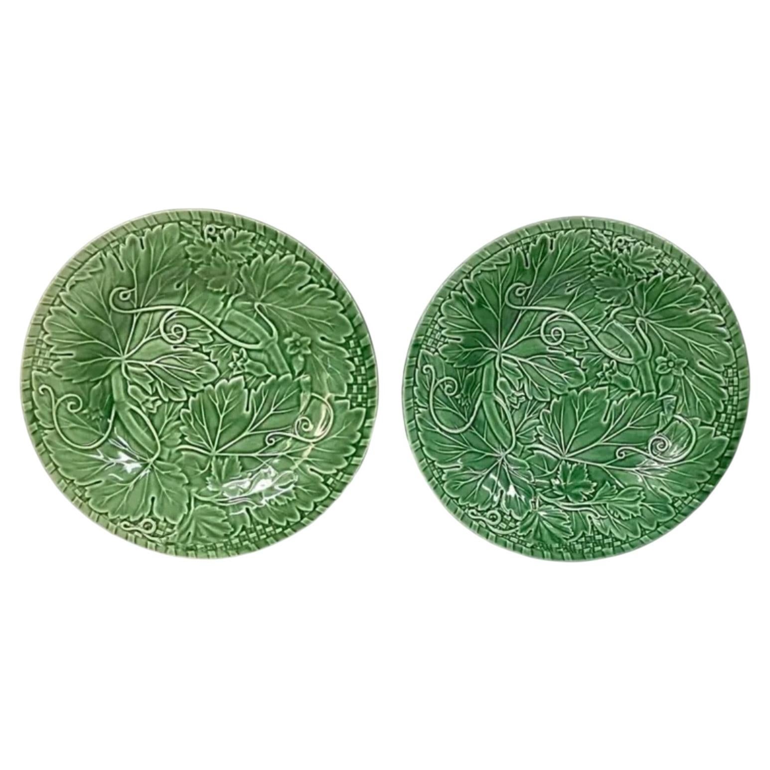 Vintage Portuguese Bordallo Pinheiro 'Green Ivy' Serving Platters, Set of 2