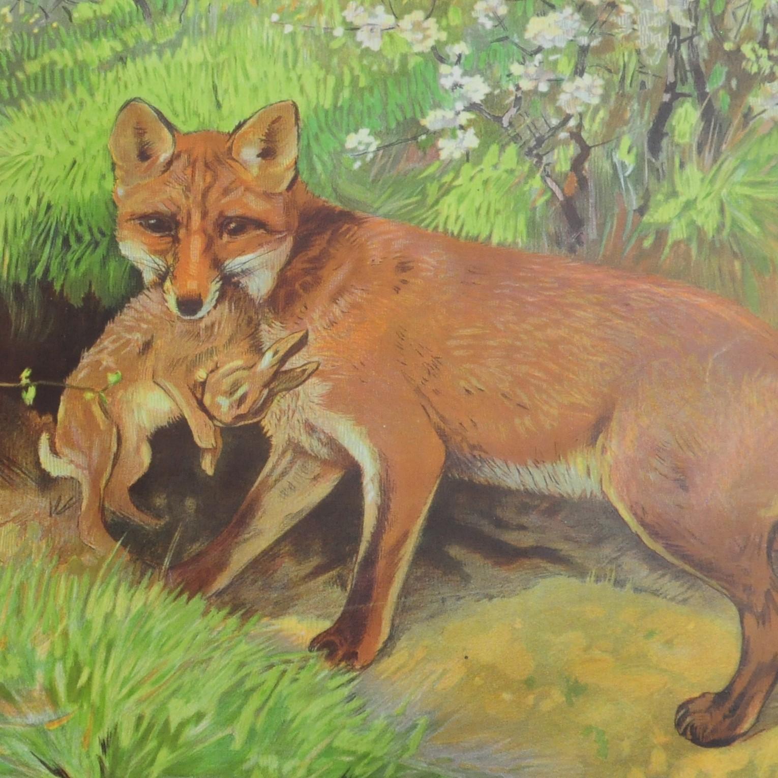 20th Century Vintage Mural Countrycore Poster Fox Mother Loot Rabbit Fox Cubs Wall Chart For Sale