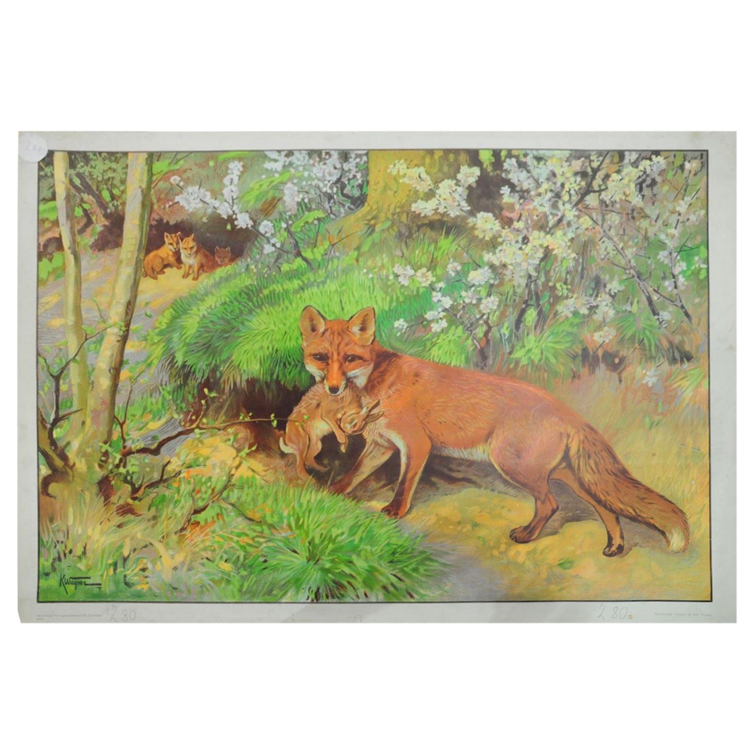 Vintage Mural Countrycore Poster Fox Mother Loot Rabbit Fox Cubs Wall Chart For Sale