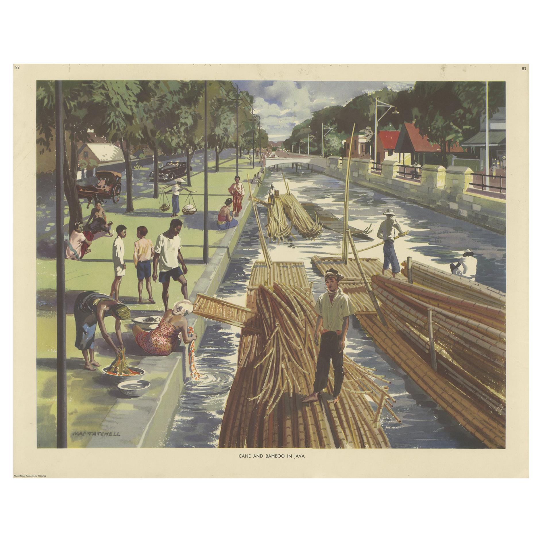 Vintage Poster of Cane and Bamboo Transportation on Java 'c.1960' For Sale