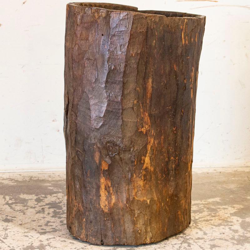 This unique wood container is made from a hollowed out tree trunk, making it a truly one of a kind piece. The organic appeal comes from the wood itself and a simple base was attached to create a container, perfect for a tall dried floral arrangement