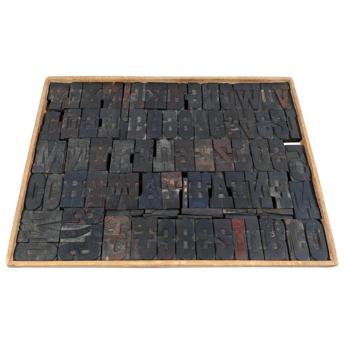 Vintage Printing Blocks in a Wooden Frame, 20th Century For Sale