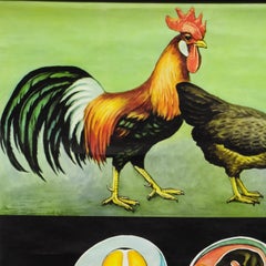 Vintage Pull-Down Wall Chart Jung Koch Quentell Chicken Hen Country Style