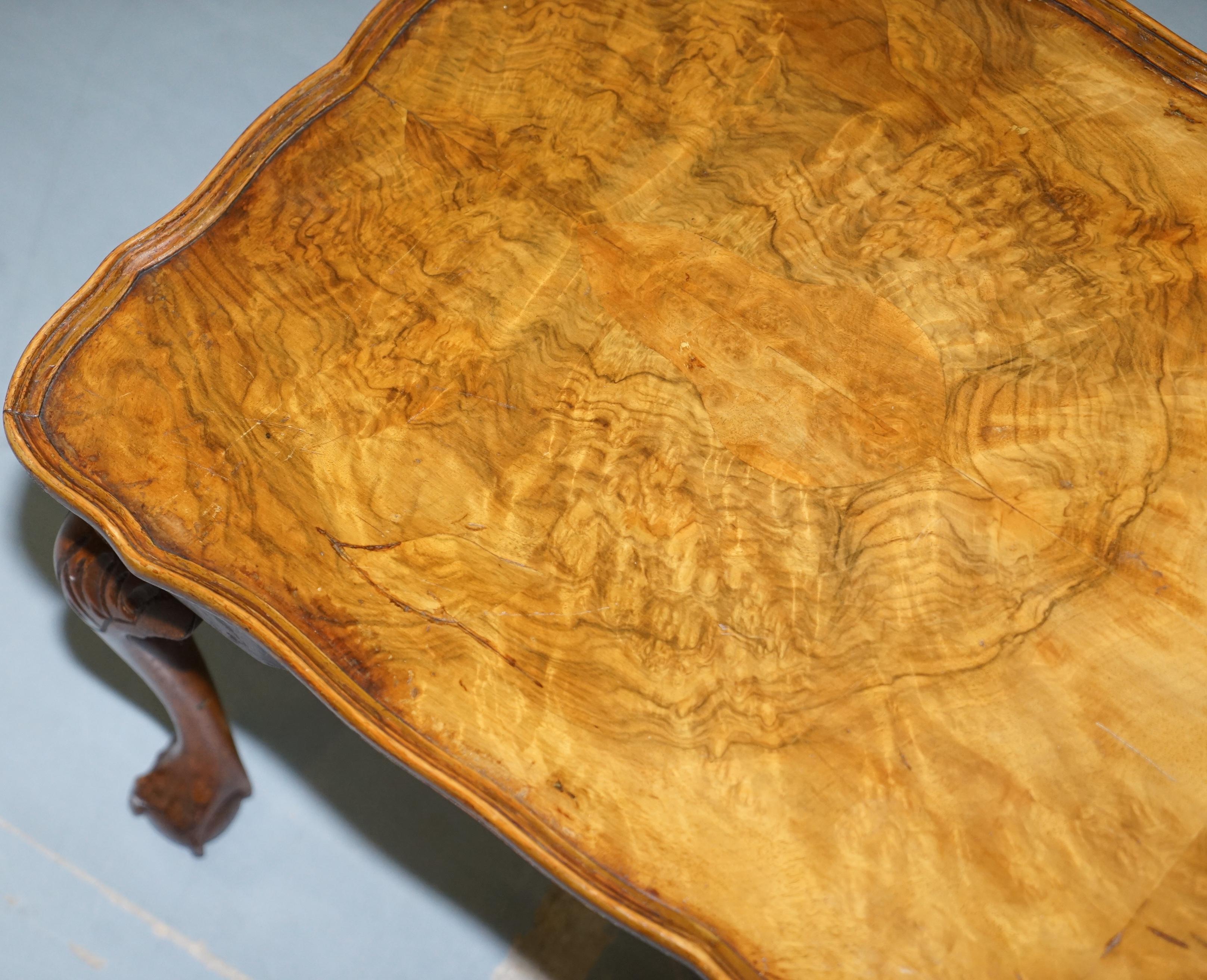 20th Century Vintage Quarter Burr Walnut Cut Coffee Table with Claw and Ball Cabriolet Legs